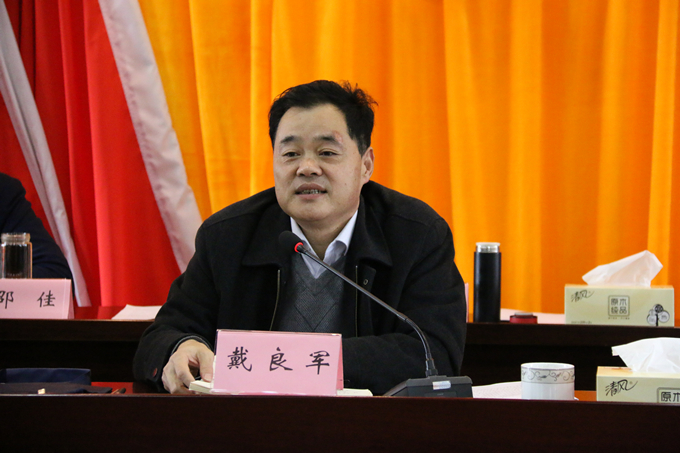 集團黨委委員、副總經(jīng)理、總工程師戴良軍發(fā)表講話